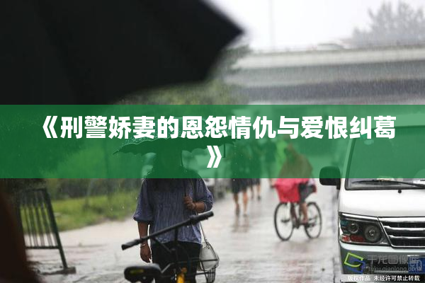 《刑警娇妻的恩怨情仇与爱恨纠葛》