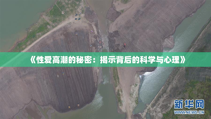 《性爱高潮的秘密：揭示背后的科学与心理》