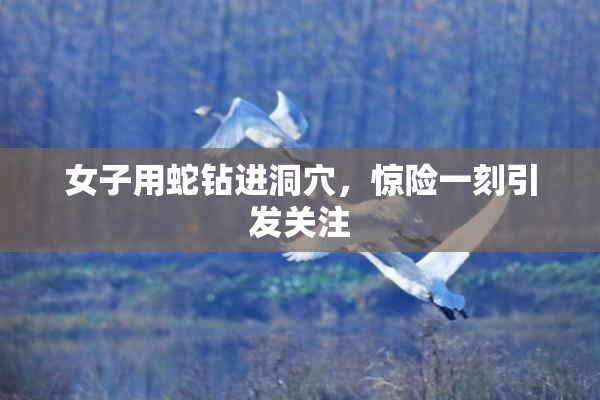 女子用蛇钻进洞穴，惊险一刻引发关注