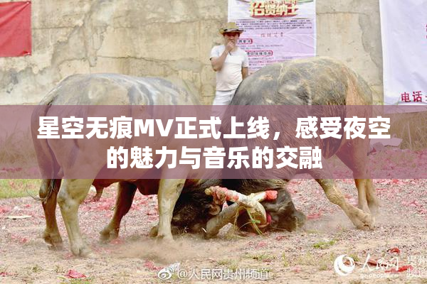星空无痕MV正式上线，感受夜空的魅力与音乐的交融