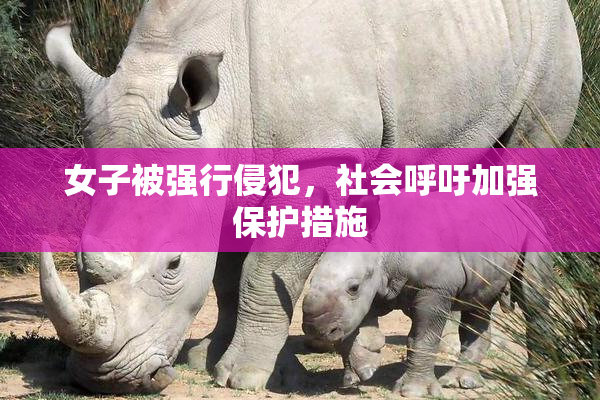 女子被强行侵犯，社会呼吁加强保护措施
