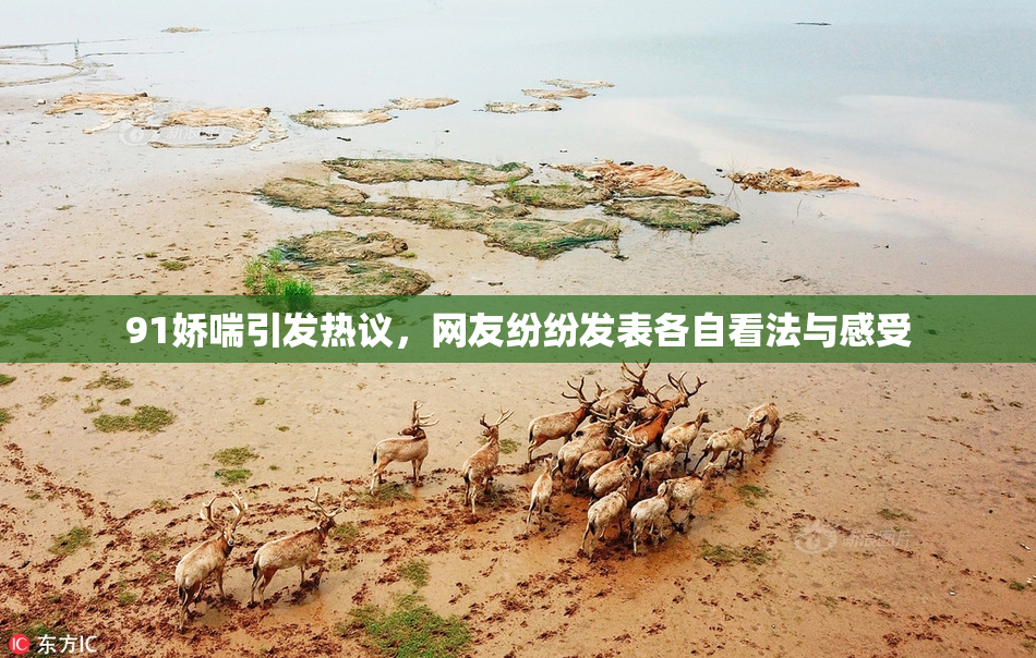 91娇喘引发热议，网友纷纷发表各自看法与感受