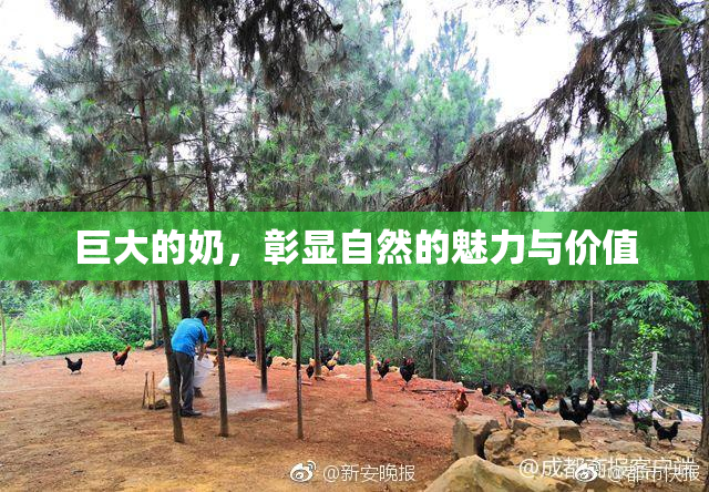 巨大的奶，彰显自然的魅力与价值
