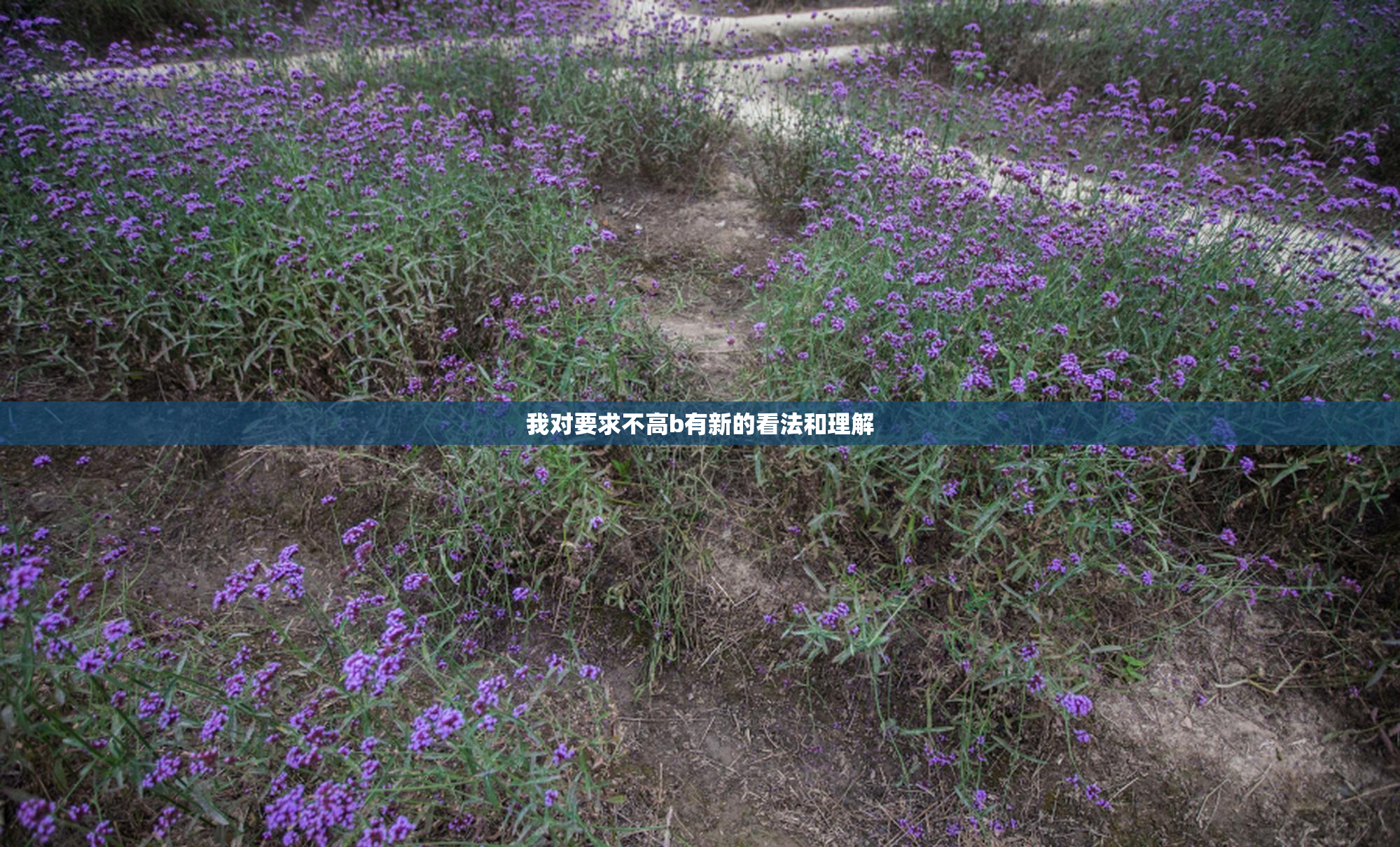 我对要求不高b有新的看法和理解