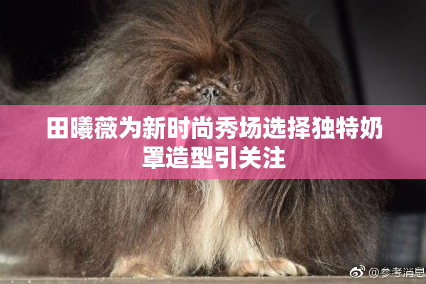 田曦薇为新时尚秀场选择独特奶罩造型引关注