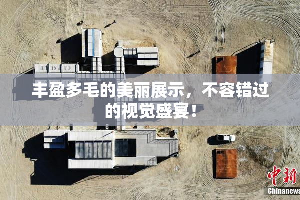 丰盈多毛的美丽展示，不容错过的视觉盛宴！