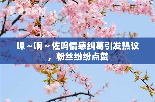 嗯～啊～佐鸣情感纠葛引发热议，粉丝纷纷点赞