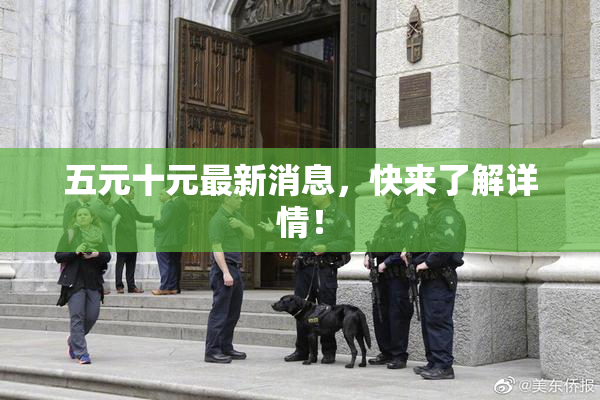 五元十元最新消息，快来了解详情！