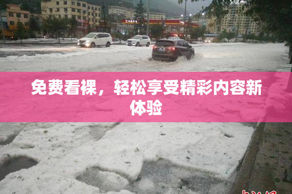免费看裸，轻松享受精彩内容新体验