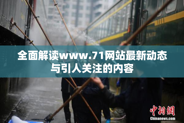 全面解读www.71网站最新动态与引人关注的内容