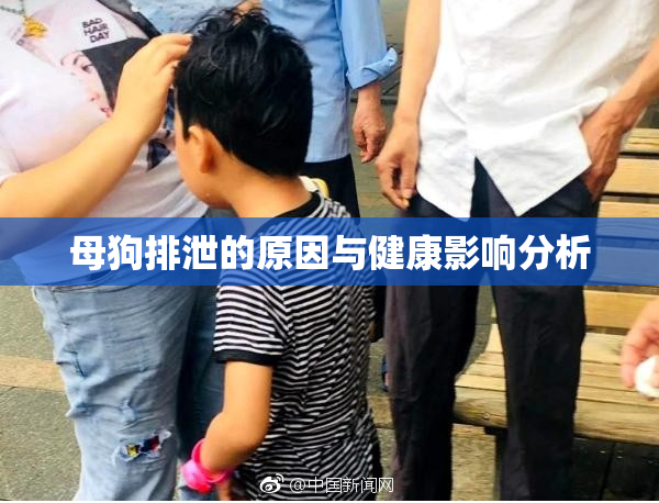 母狗排泄的原因与健康影响分析