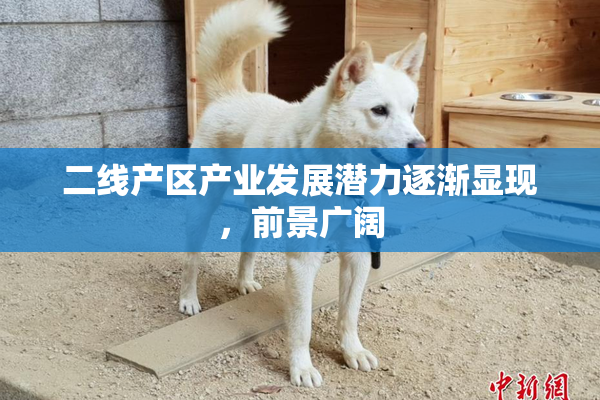 二线产区产业发展潜力逐渐显现，前景广阔