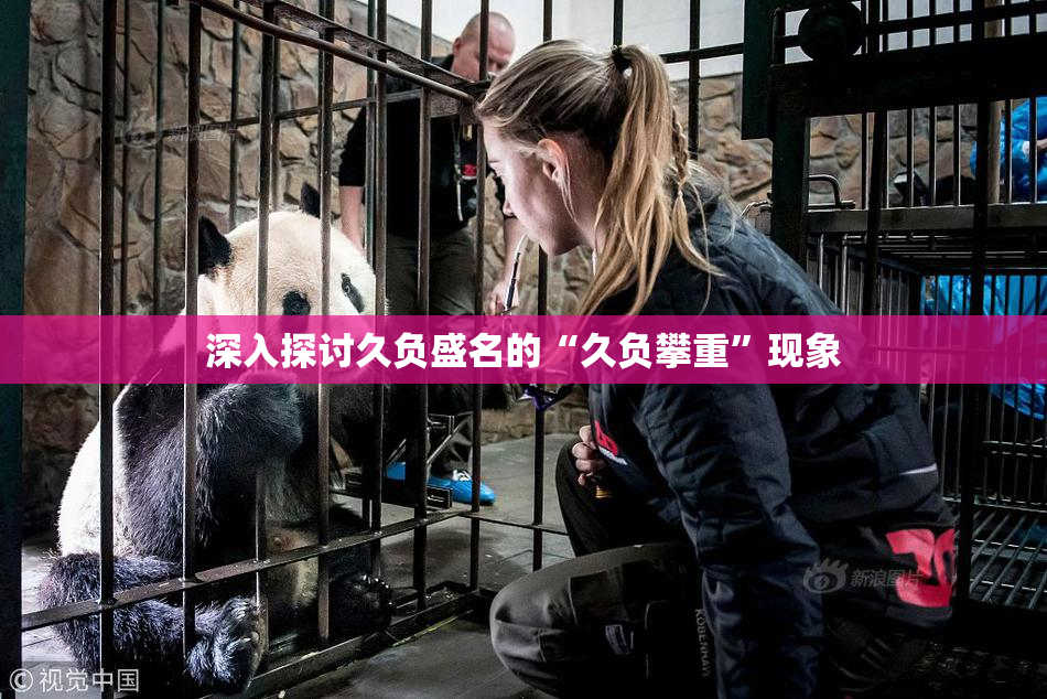 深入探讨久负盛名的“久负攀重”现象