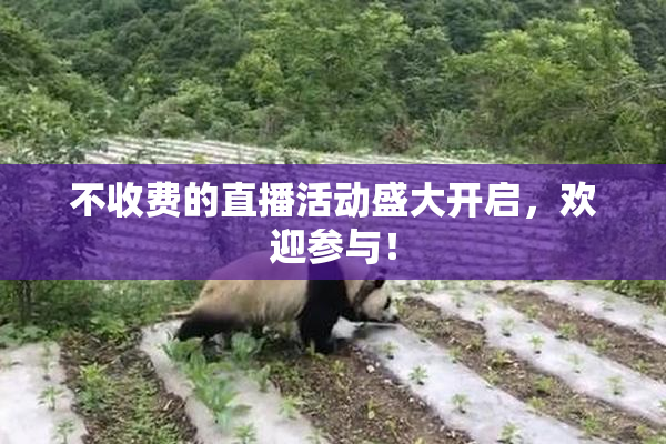 不收费的直播活动盛大开启，欢迎参与！