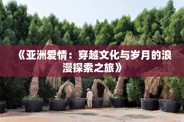 《亚洲爱情：穿越文化与岁月的浪漫探索之旅》