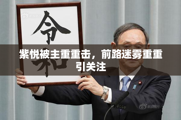 紫悦被主重重击，前路迷雾重重引关注