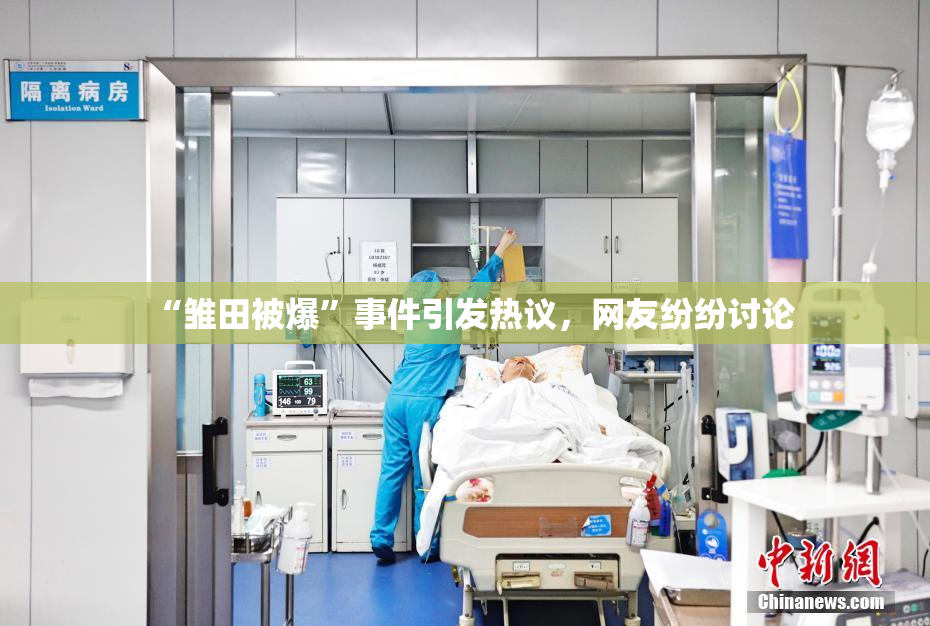 “雏田被爆”事件引发热议，网友纷纷讨论