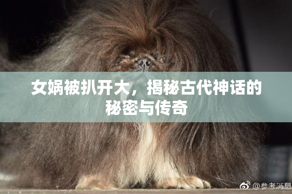 女娲被扒开大，揭秘古代神话的秘密与传奇