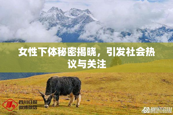 女性下体秘密揭晓，引发社会热议与关注