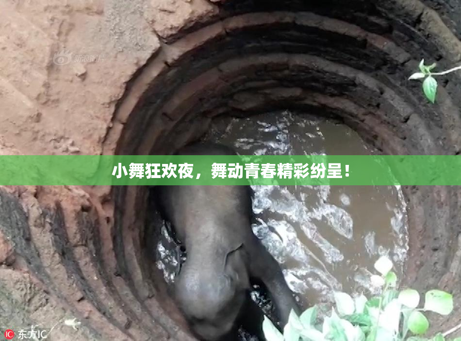 小舞狂欢夜，舞动青春精彩纷呈！