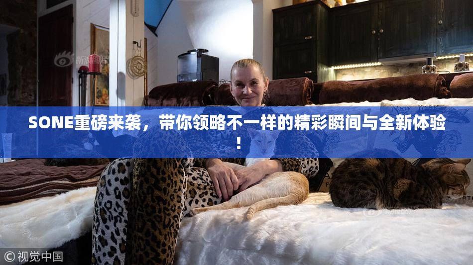 SONE重磅来袭，带你领略不一样的精彩瞬间与全新体验！