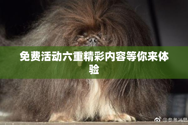 免费活动六重精彩内容等你来体验