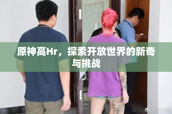 原神高Hr，探索开放世界的新奇与挑战