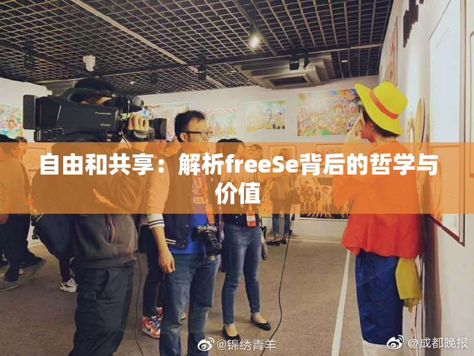 自由和共享：解析freeSe背后的哲学与价值