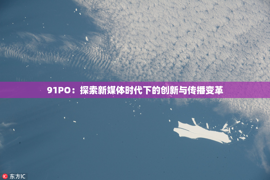 91PO：探索新媒体时代下的创新与传播变革