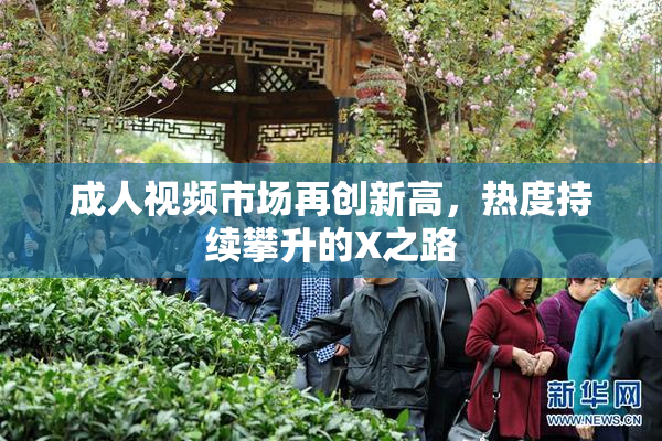 成人视频市场再创新高，热度持续攀升的X之路