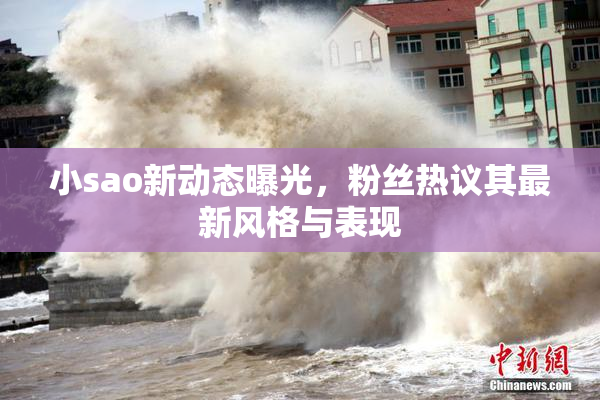 小sao新动态曝光，粉丝热议其最新风格与表现