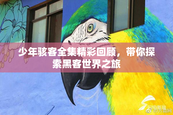 少年骇客全集精彩回顾，带你探索黑客世界之旅