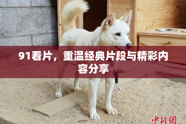 91看片，重温经典片段与精彩内容分享