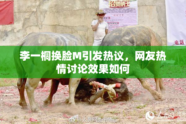 李一桐换脸M引发热议，网友热情讨论效果如何