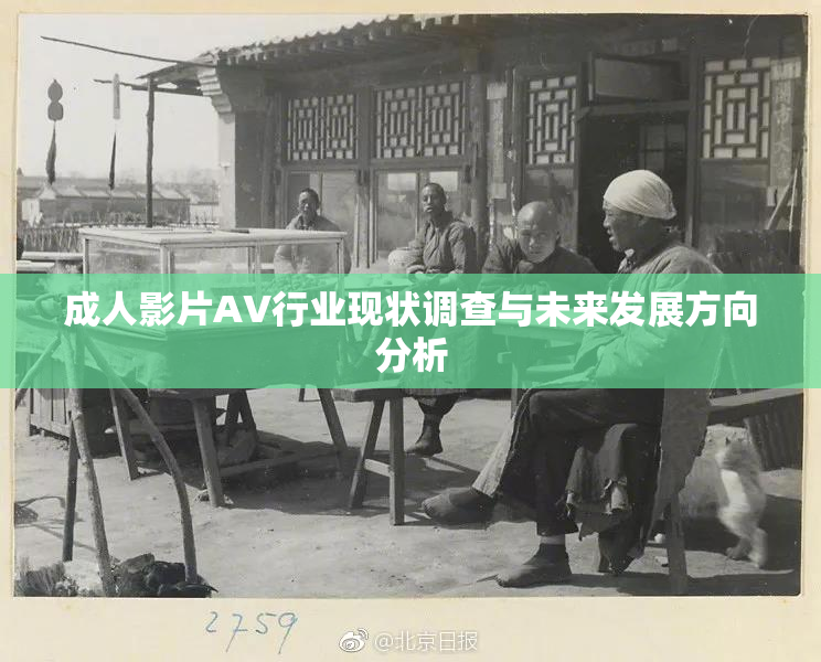 成人影片AV行业现状调查与未来发展方向分析