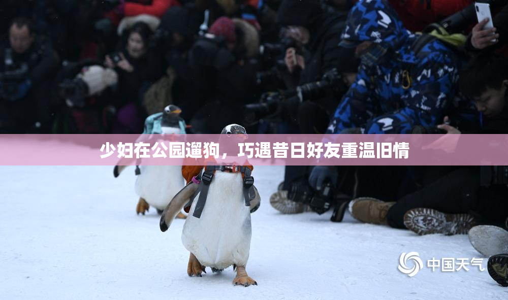 少妇在公园遛狗，巧遇昔日好友重温旧情