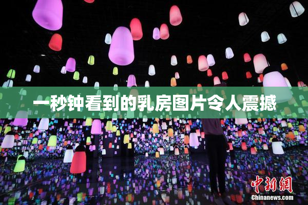 一秒钟看到的乳房图片令人震撼