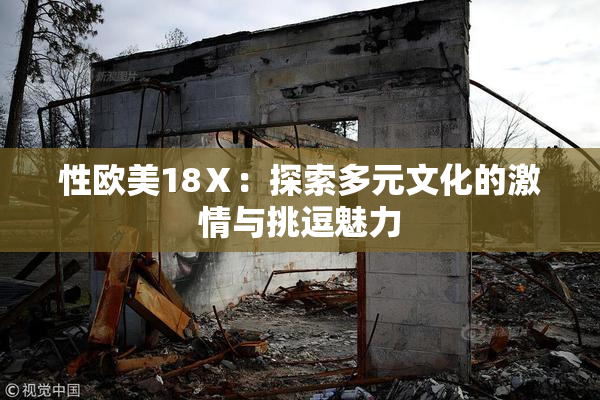 性欧美18Ⅹ：探索多元文化的激情与挑逗魅力