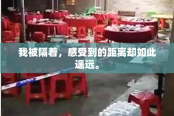 我被隔着，感受到的距离却如此遥远。