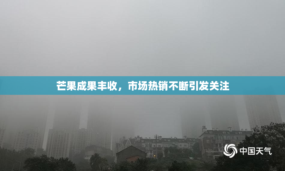 芒果成果丰收，市场热销不断引发关注