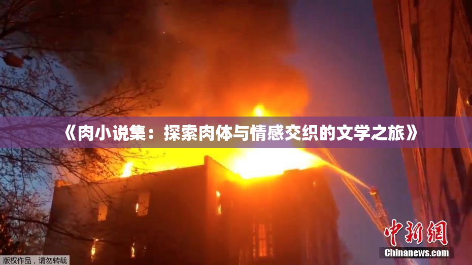 《肉小说集：探索肉体与情感交织的文学之旅》