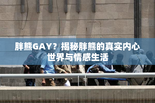 胖熊GAY？揭秘胖熊的真实内心世界与情感生活