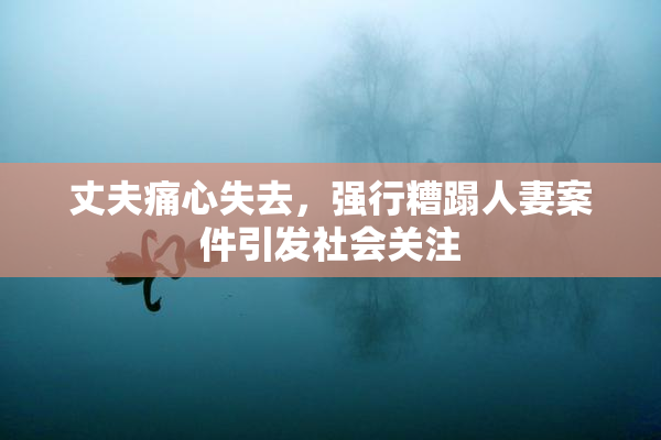 丈夫痛心失去，强行糟蹋人妻案件引发社会关注