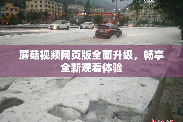 蘑菇视频网页版全面升级，畅享全新观看体验