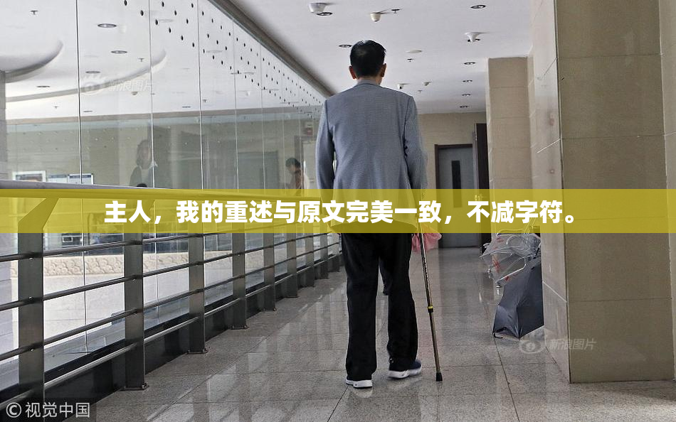 主人，我的重述与原文完美一致，不减字符。