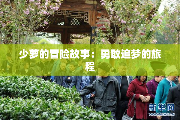 少萝的冒险故事：勇敢追梦的旅程