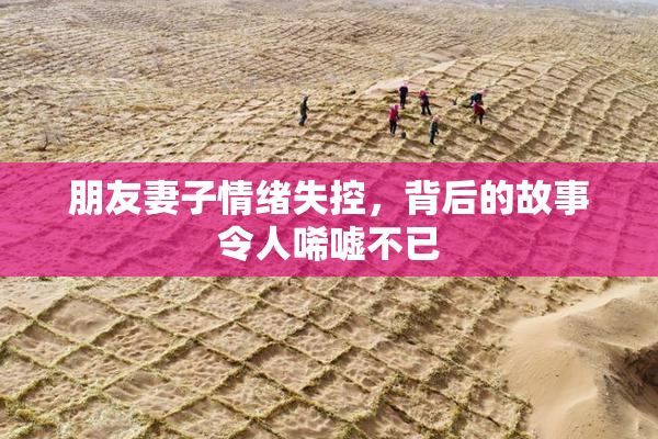 朋友妻子情绪失控，背后的故事令人唏嘘不已