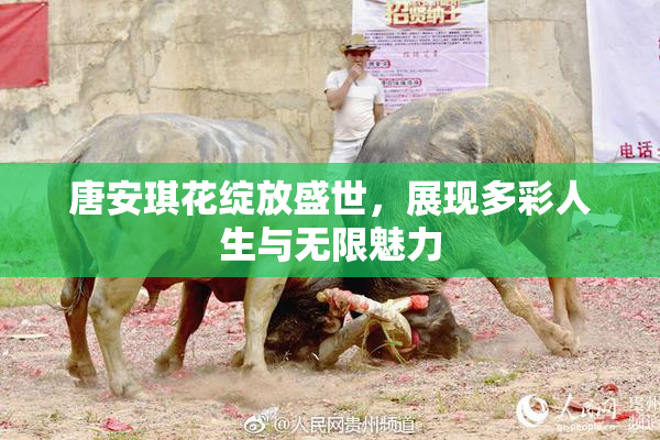 唐安琪花绽放盛世，展现多彩人生与无限魅力