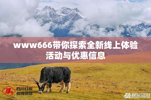 www666带你探索全新线上体验活动与优惠信息