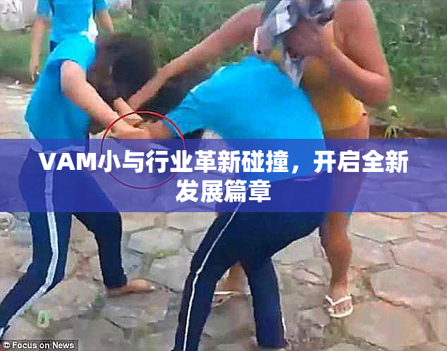 VAM小与行业革新碰撞，开启全新发展篇章